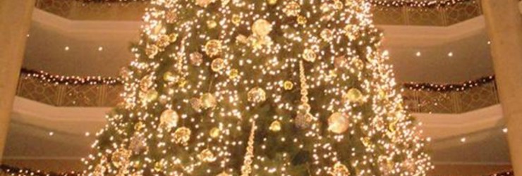 Kerstbrunch ++volgeboekt++